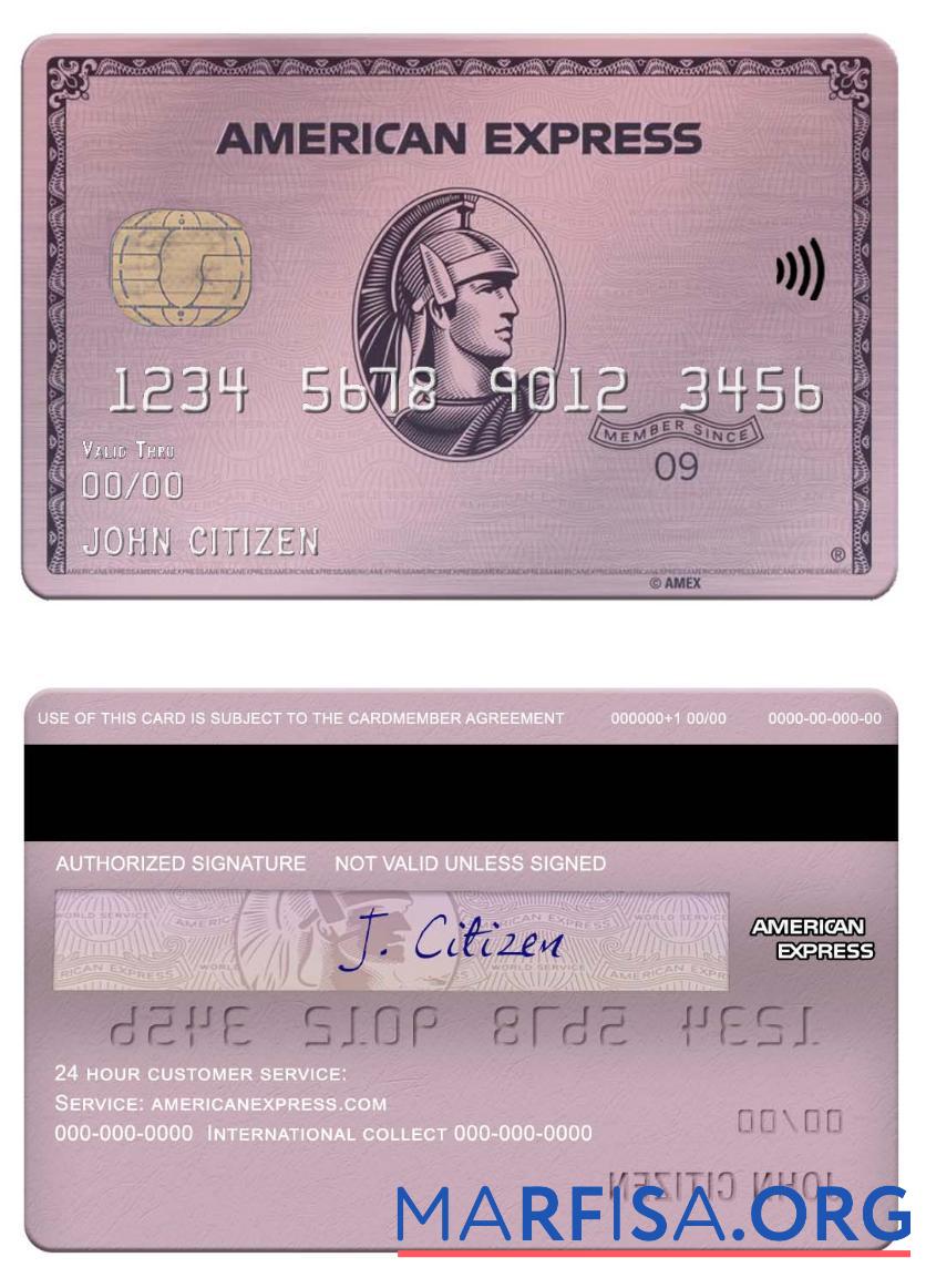 Downloadable USA ADP Earnings bank american express rose gold card real example